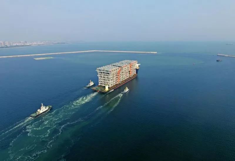 中期以小龙 中期以小龙