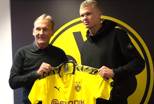 罗伊斯一贯 罗伊斯一贯